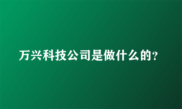 万兴科技公司是做什么的？