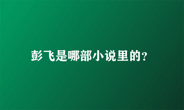 彭飞是哪部小说里的？