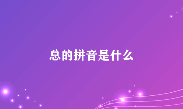 总的拼音是什么