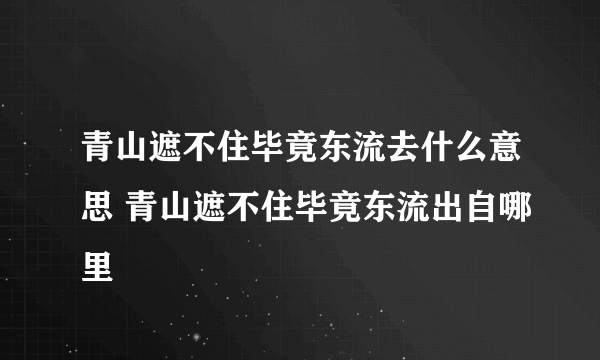 青山遮不住毕竟东流去什么意思 青山遮不住毕竟东流出自哪里