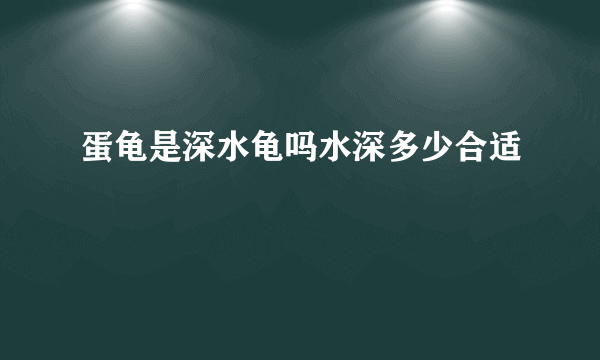 蛋龟是深水龟吗水深多少合适