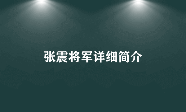 张震将军详细简介