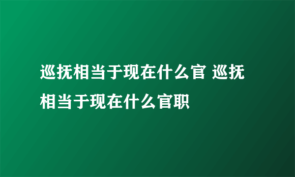 巡抚相当于现在什么官 巡抚相当于现在什么官职