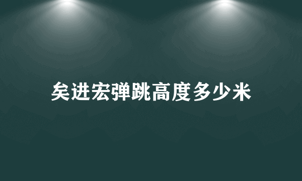 矣进宏弹跳高度多少米