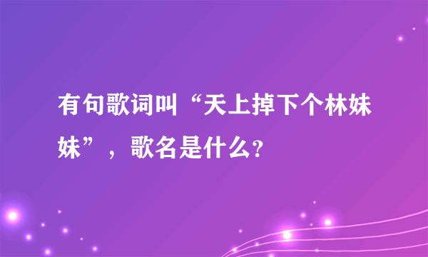 有句歌词叫“天上掉下个林妹妹”，歌名是什么？