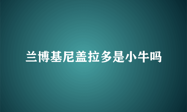 兰博基尼盖拉多是小牛吗