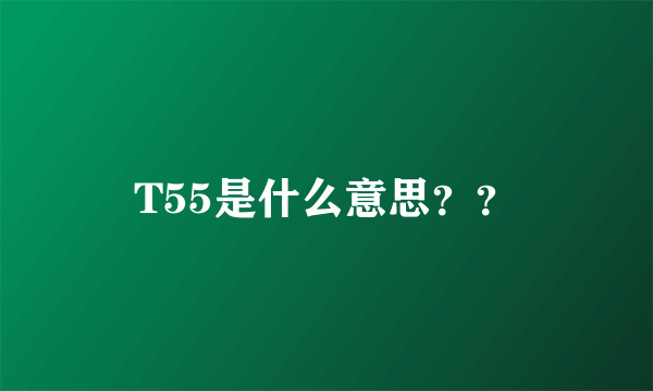 T55是什么意思？？