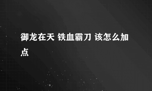 御龙在天 铁血霸刀 该怎么加点