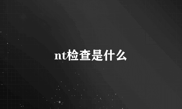 nt检查是什么