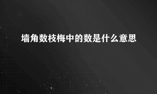 墙角数枝梅中的数是什么意思