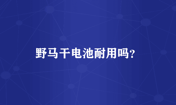 野马干电池耐用吗？