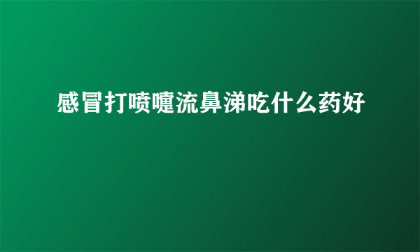 感冒打喷嚏流鼻涕吃什么药好