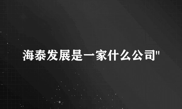 海泰发展是一家什么公司