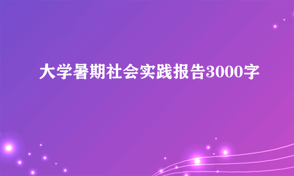 大学暑期社会实践报告3000字