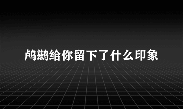 鸬鹚给你留下了什么印象