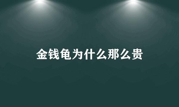 金钱龟为什么那么贵