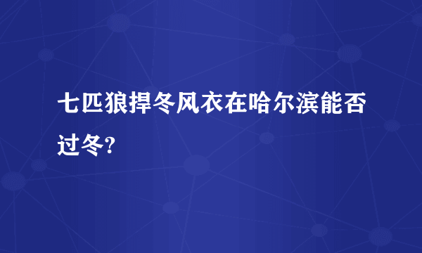 七匹狼捍冬风衣在哈尔滨能否过冬?