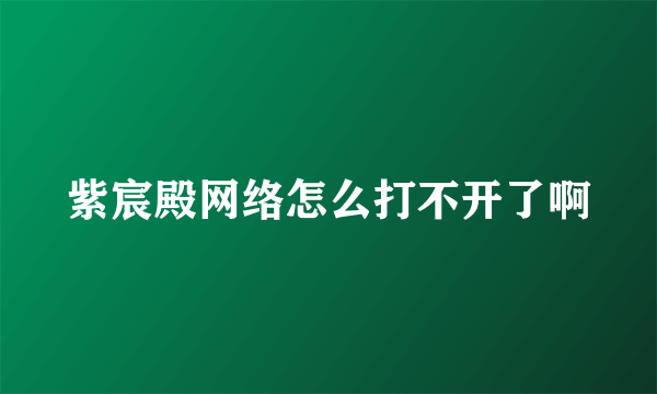 紫宸殿网络怎么打不开了啊