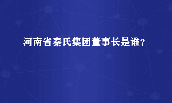 河南省秦氏集团董事长是谁？