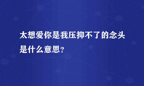 太想爱你是我压抑不了的念头是什么意思？