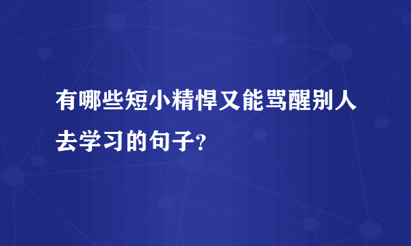 有哪些短小精悍又能骂醒别人去学习的句子？