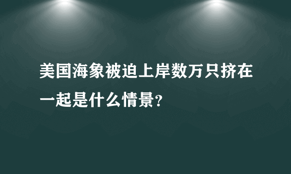 美国海象被迫上岸数万只挤在一起是什么情景？