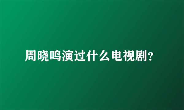 周晓鸣演过什么电视剧？