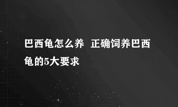 巴西龟怎么养  正确饲养巴西龟的5大要求