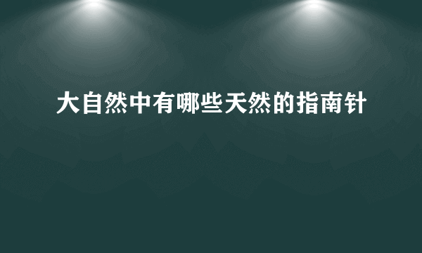 大自然中有哪些天然的指南针