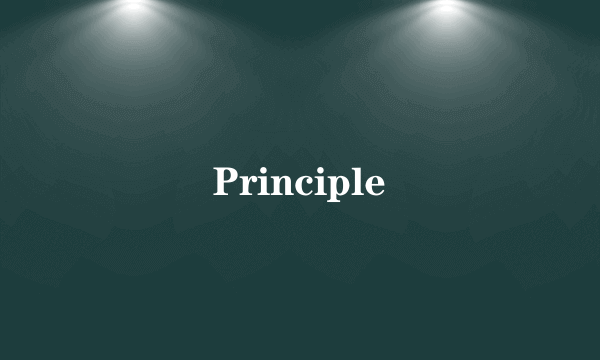 Principle