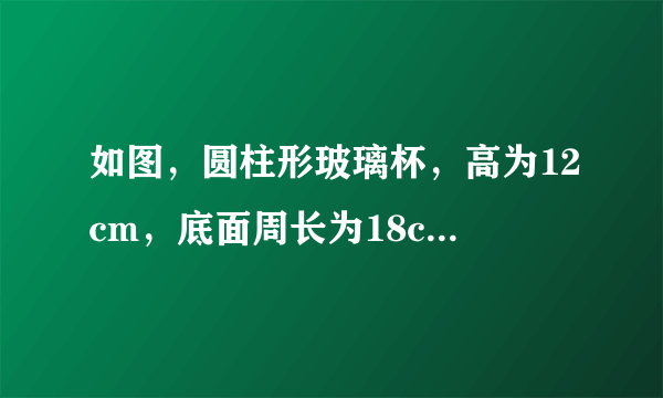 如图，圆柱形玻璃杯，高为12cm，底面周长为18cm，在杯内离杯底4cm的点C处有一滴蜂蜜，此时一只蚂蚁正好在杯外壁，离杯上沿4cm与蜂蜜相对的点A处，则蚂蚁到达蜂蜜的最短距离为（   ）cm.A.15B.$\sqrt{97}$C.12D.18