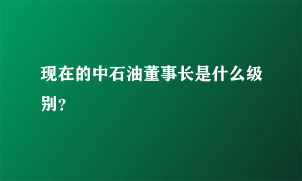 现在的中石油董事长是什么级别？