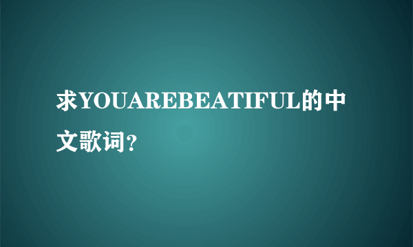 求YOUAREBEATIFUL的中文歌词？