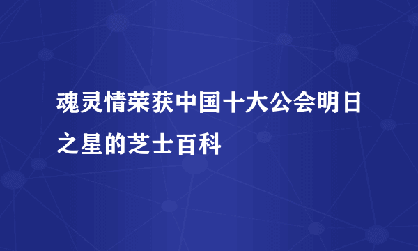 魂灵情荣获中国十大公会明日之星的芝士百科