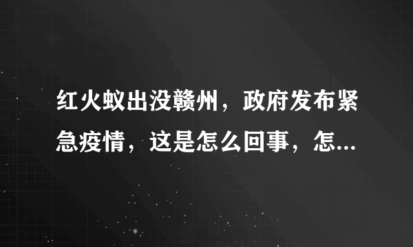 红火蚁出没赣州，政府发布紧急疫情，这是怎么回事，怎么辨别红火蚁？