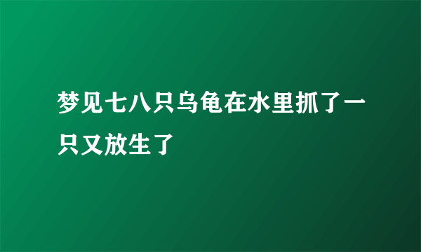 梦见七八只乌龟在水里抓了一只又放生了