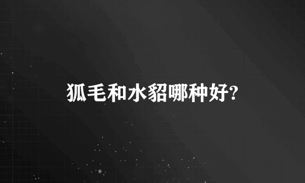 狐毛和水貂哪种好?