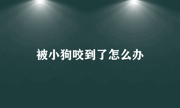 被小狗咬到了怎么办