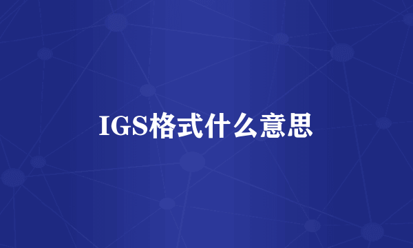 IGS格式什么意思