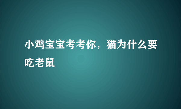 小鸡宝宝考考你，猫为什么要吃老鼠