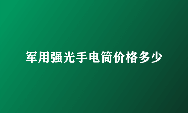 军用强光手电筒价格多少