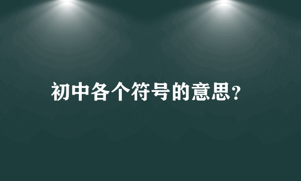 初中各个符号的意思？