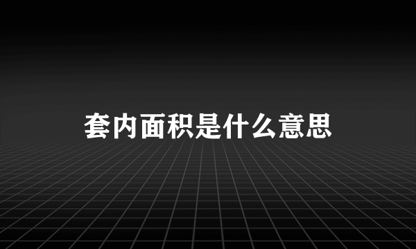 套内面积是什么意思