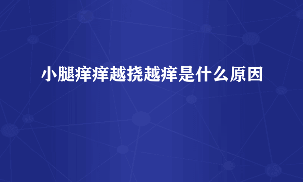 小腿痒痒越挠越痒是什么原因