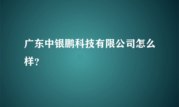 广东中银鹏科技有限公司怎么样？