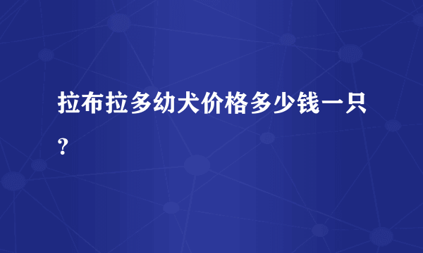 拉布拉多幼犬价格多少钱一只？