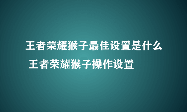 王者荣耀猴子最佳设置是什么 王者荣耀猴子操作设置