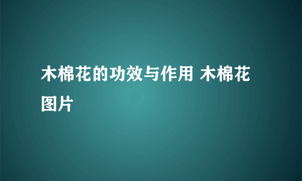 木棉花的功效与作用 木棉花图片