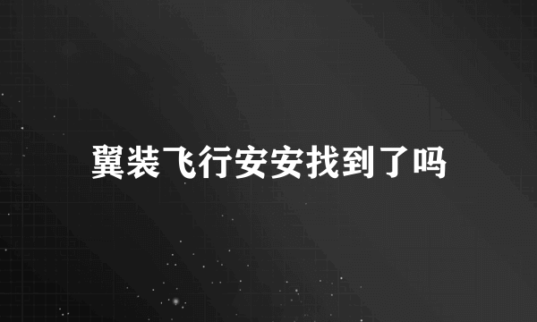 翼装飞行安安找到了吗