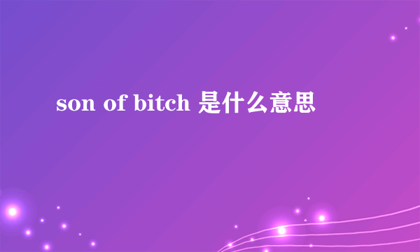 son of bitch 是什么意思